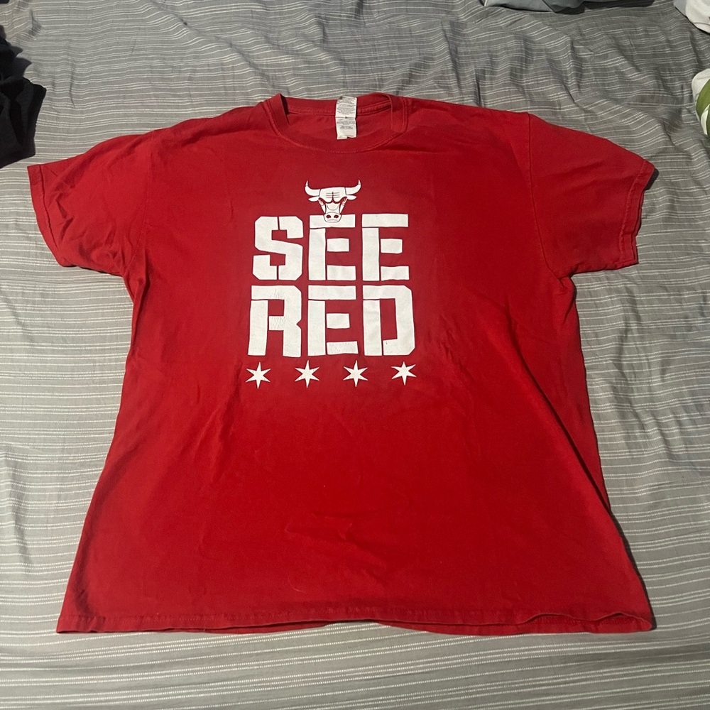 2010s Playoffs NBA Chicago Bulls T-Shirt